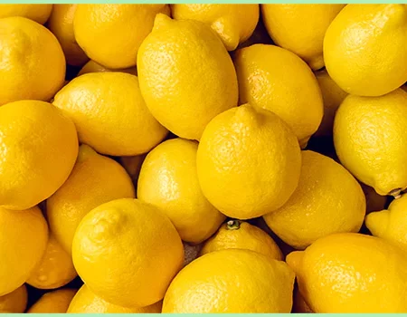 LEMON/NIMBU/नींबू
