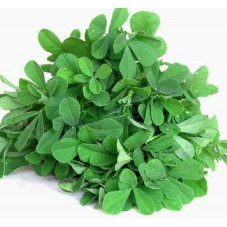 FENUGREEK LEAF/METHI BHAJI/मेथी भाजी