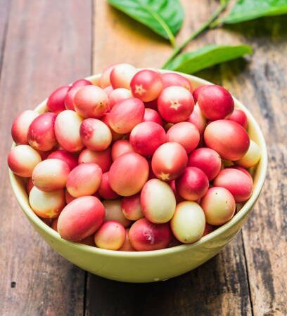 GOOSEBERRY/KARANDA/करौंदा
