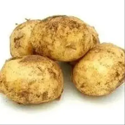NEW POTATO/PAHADI ALOO/पहाड़ी आलू