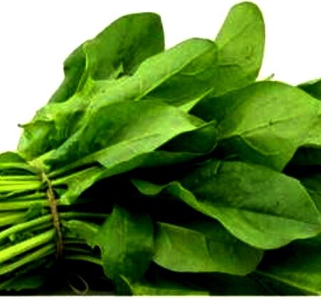 SPINICH/PALAK/पालक