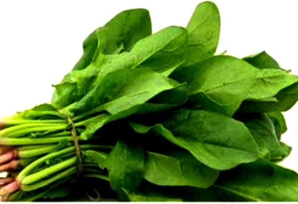 SPINICH/PALAK/पालक