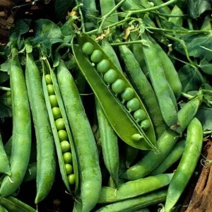 Pea(hari matar)