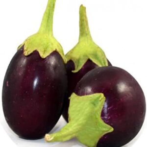 Began(brinjal)