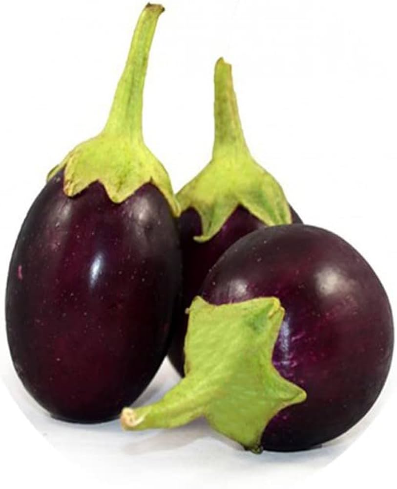 Began(brinjal)