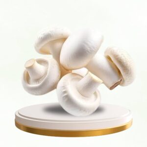 Mashroom
