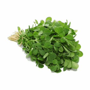 Methi