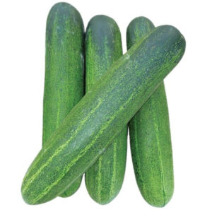 Cucumber(khira)