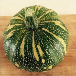 Pumpkin(kaddu)