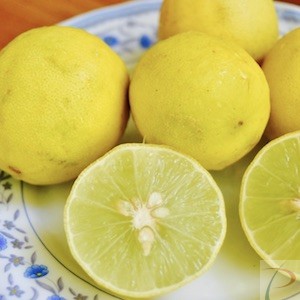Lemon(nimbu)
