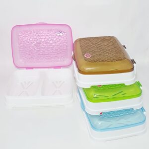 Double Soap Case