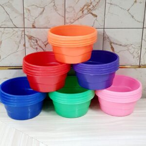 Saloni Bowl Ist