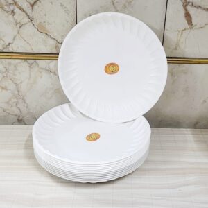 Maggi plate