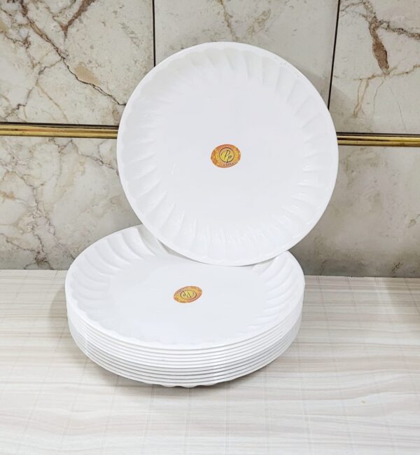 Maggi plate