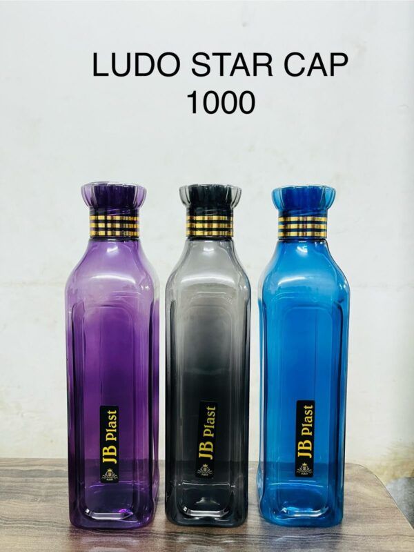 Ludo fridge bottle