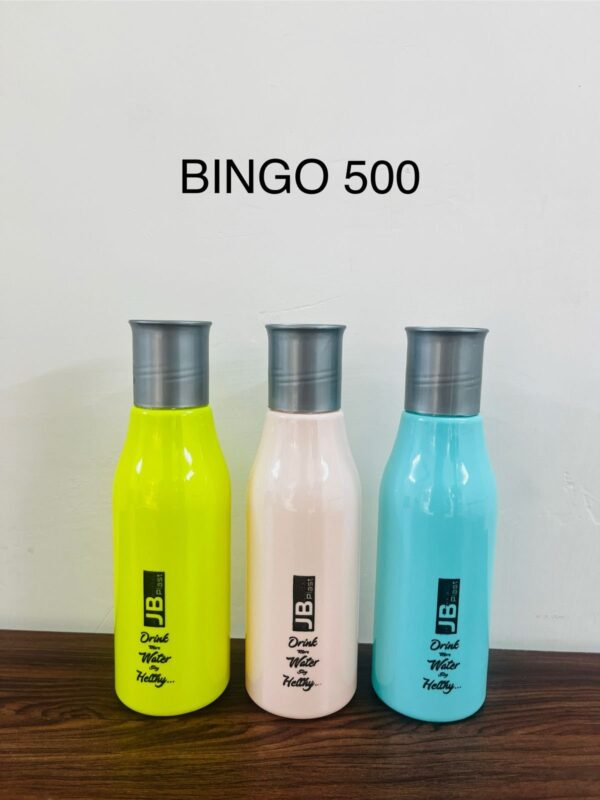 Bingo 500