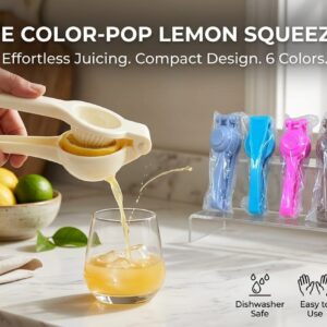 2026/06/1001288818.jpg Lemon squeezer