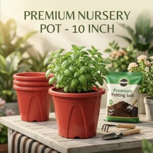 Nursery pot 10 inch