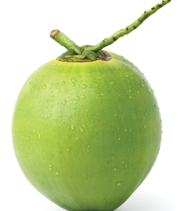 Tender coconut water, ಎಳನೀರು, 1 no