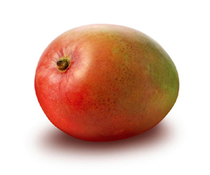 Mango, ಮಾವು, 1no