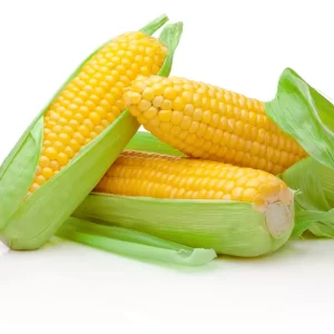 Sweet corn