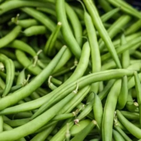 FRENCH BEENS