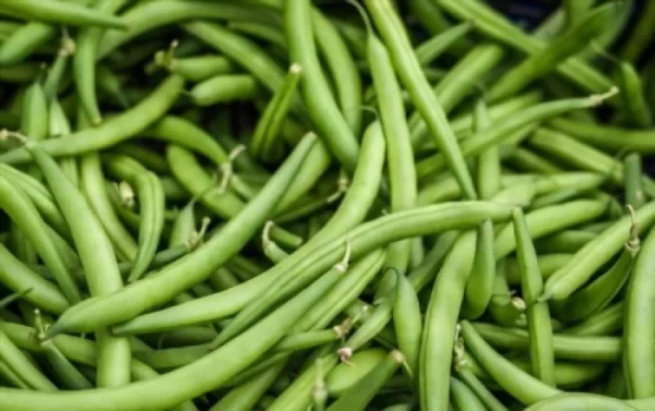 FRENCH BEENS