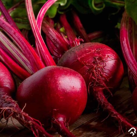 BEETROOT
