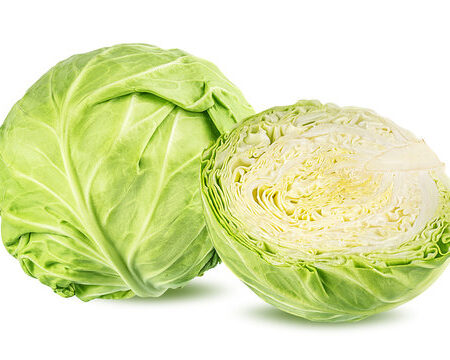 CABBAGE