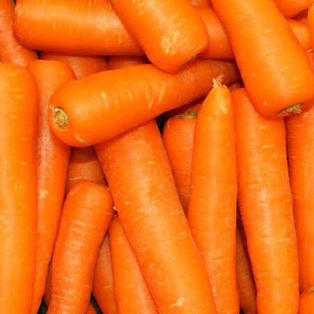 CARROT