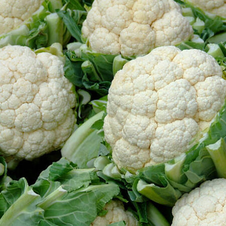 CAULIFLOWER