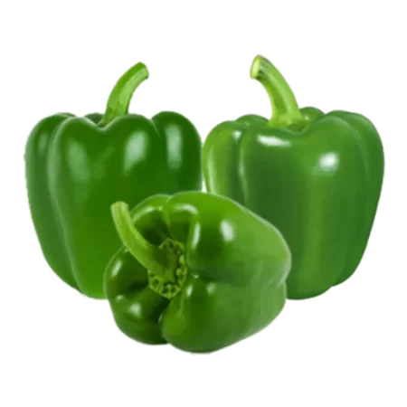 CAPSICUM