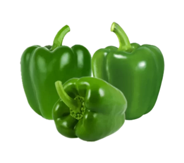 CAPSICUM