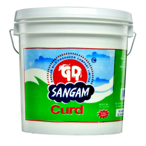 Curd STM 5kg Bucket