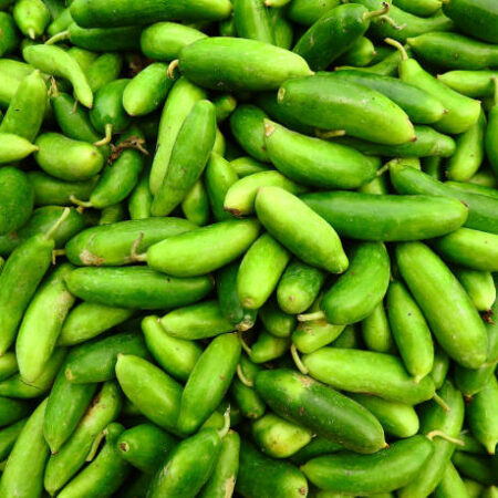 GHERKEENS