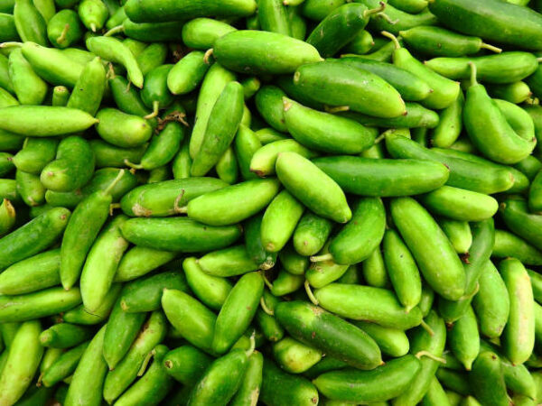 GHERKEENS
