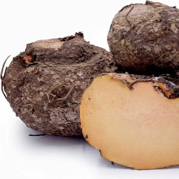 YAM