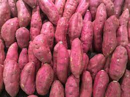 RED SWEET POTATO