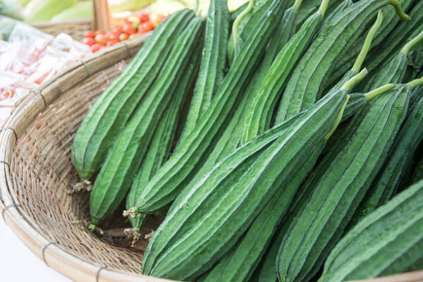RIDGE GOURD