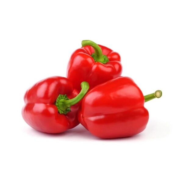 RED CAPSICUM