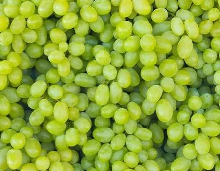 Green Grapes