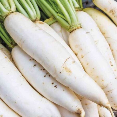 RADISH