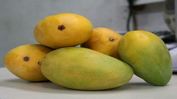 Mango Rasalu