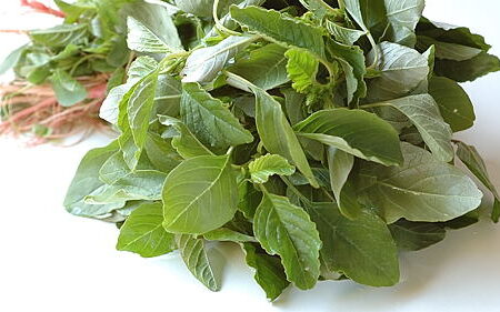 AMARANTH